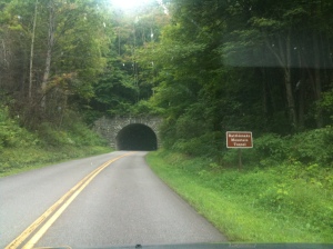 Tunnels in the parkway (click to view)